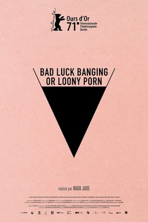Télécharger Bad Luck Banging or Loony Porn ou regarder en streaming Torrent magnet 