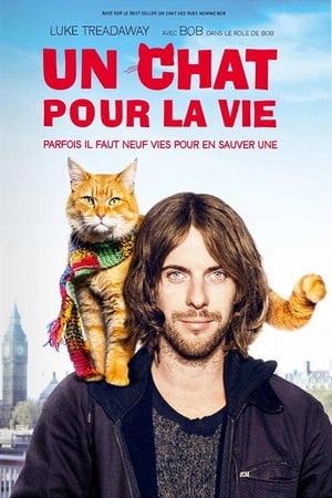 Image Un chat pour la vie