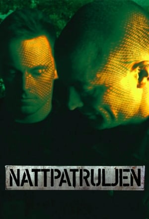 Image Nattpatruljen