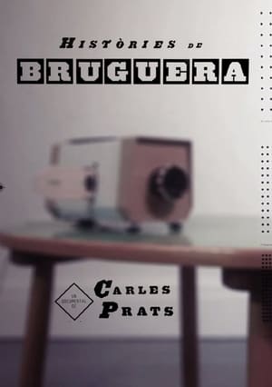 Poster Històries de Bruguera 2012