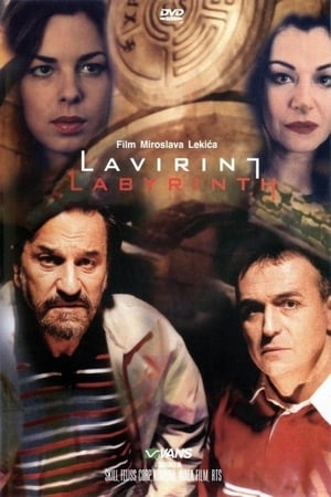 Image Labyrinth