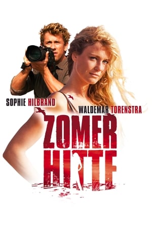 Poster Zomerhitte 2008