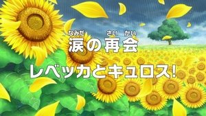 One Piece Season 17 Episode 696