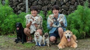 My Heart Puppy (2023)