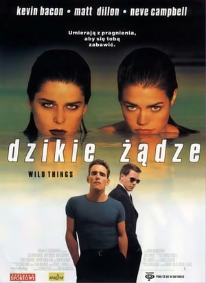 Poster Dzikie żądze 1998