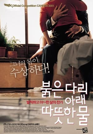 Poster 붉은 다리 아래 따뜻한 물 2001