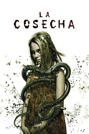 Poster La cosecha 2007