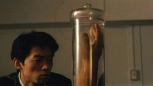 Images posters