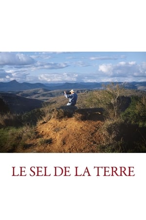 Image Le Sel de la Terre