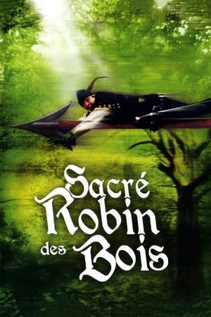 Télécharger Sacré Robin des bois ou regarder en streaming Torrent magnet 