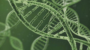 Foundations of Organic Chemistry Season 1 :Episode 23  DNA and Nucleic Acids