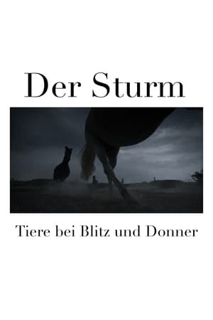 Image Der Sturm - Tiere bei Blitz und Donner