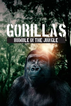 Télécharger Gorillas: Rumble in the Jungle ou regarder en streaming Torrent magnet 