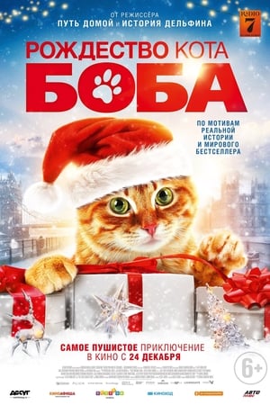 Image Рождество кота Боба