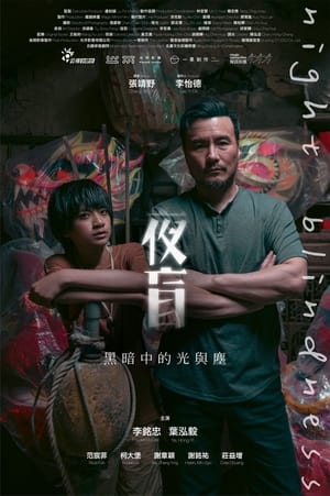 Télécharger 夜盲 ou regarder en streaming Torrent magnet 