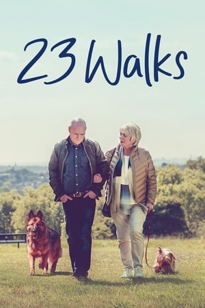 Poster 23 Walks 2020