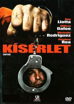 Poster Kísérlet 2004