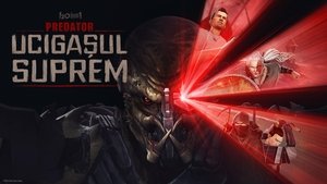 Images posters