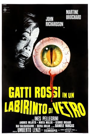Poster Gatti rossi in un labirinto di vetro 1975