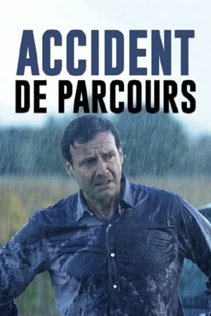 Accident de parcours 2011