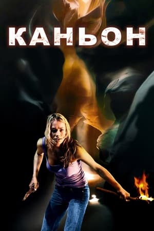 Poster Каньон 2009