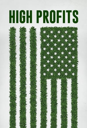 Image Marijuana Store - High Profits