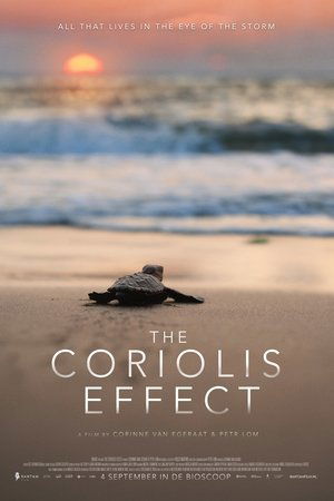 The Coriolis Effect (2025)