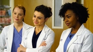 Grey's Anatomy Season 12 :Episode 17  I Wear the Face