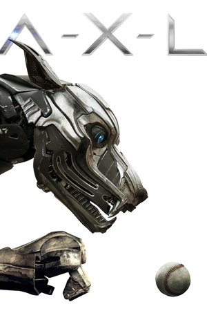 <Images posters