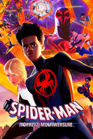 Image Spider-Man: Poprzez multiwersum