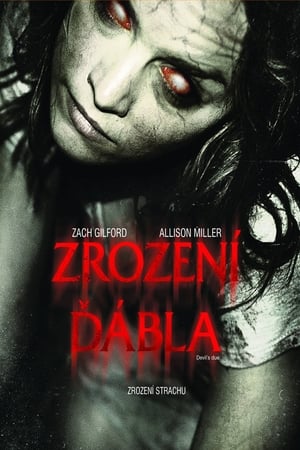 Poster Zrození ďábla 2014