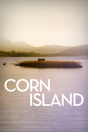 Poster Corn Island 2014