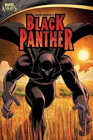 Poster Marvel Knights - Black Panther 2010