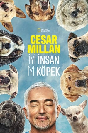 Image Cesar Millan: Better Human, Better Dog