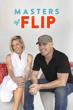 Image Masters of Flip