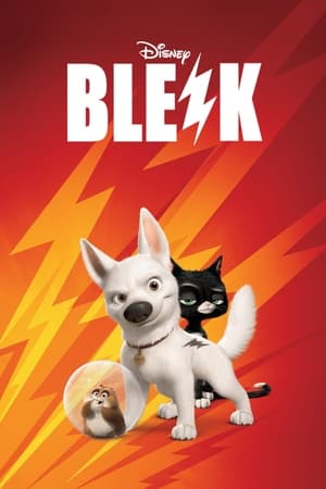 Poster Blesk 2008