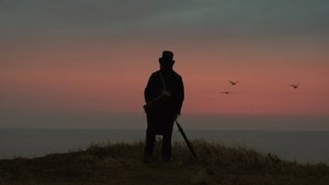 Mr. Turner (2014)