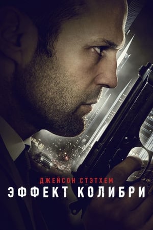 Poster Эффект колибри 2013