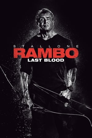 Image Rambo: Last Blood