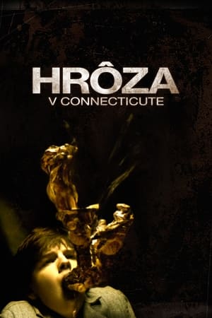 Poster Hrôza v Connecticute 2009
