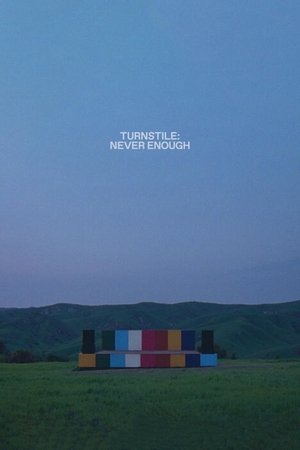 TURNSTILE: NEVER ENOUGH (2025)