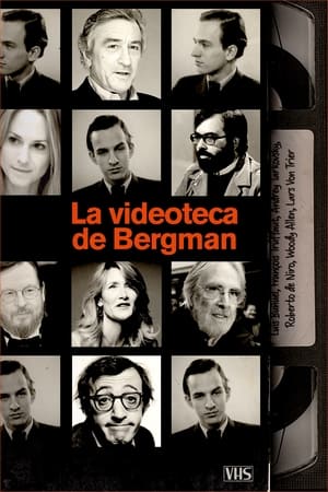 Poster Bergmans video 2012