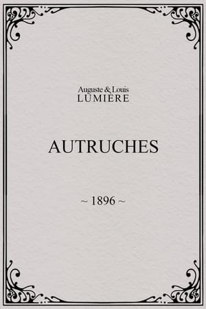 Autruches 1896