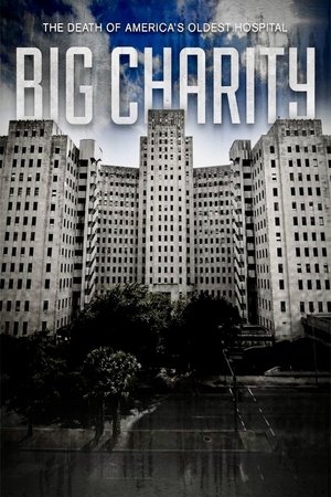 Big Charity: The Death of America's Oldest Hospital (2014)