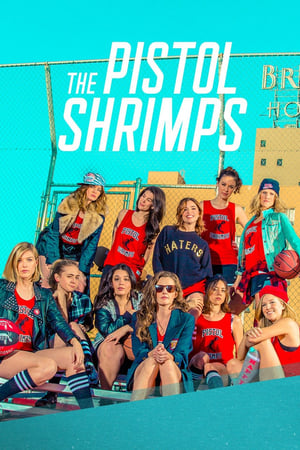 The Pistol Shrimps 2016