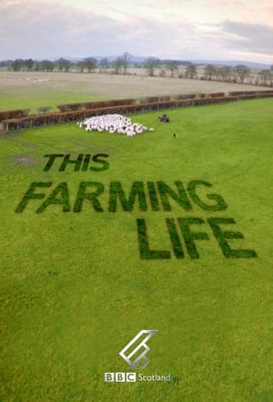 Image This Farming Life