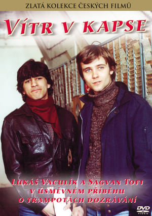 Poster Vítr v kapse 1983