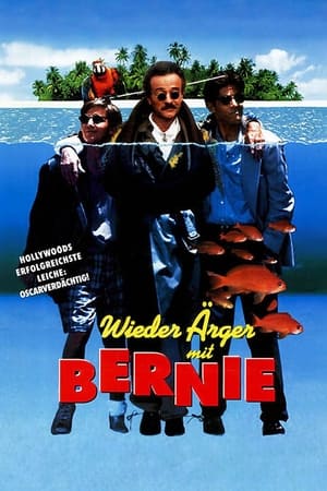 Image Wieder Ärger mit Bernie