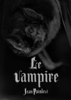 Télécharger Le vampire ou regarder en streaming Torrent magnet 