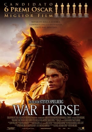 Image War Horse